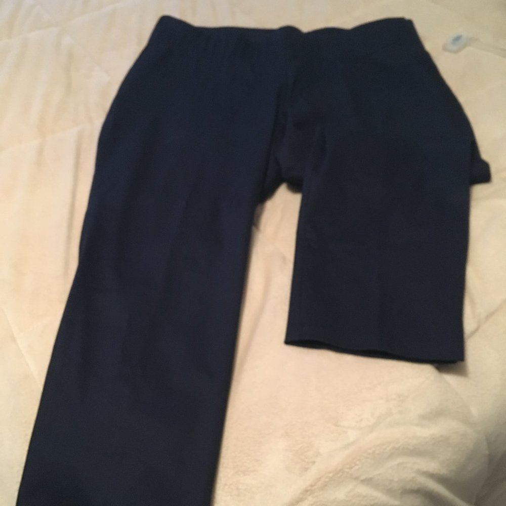 Old Navy Dark Blue Side Zip Crop Pants
